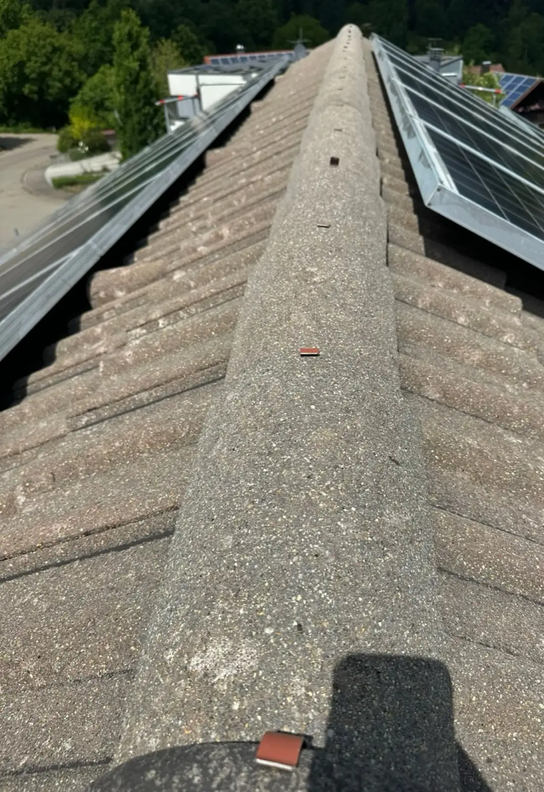Dachfirst in Ulm, nach der Reinigung