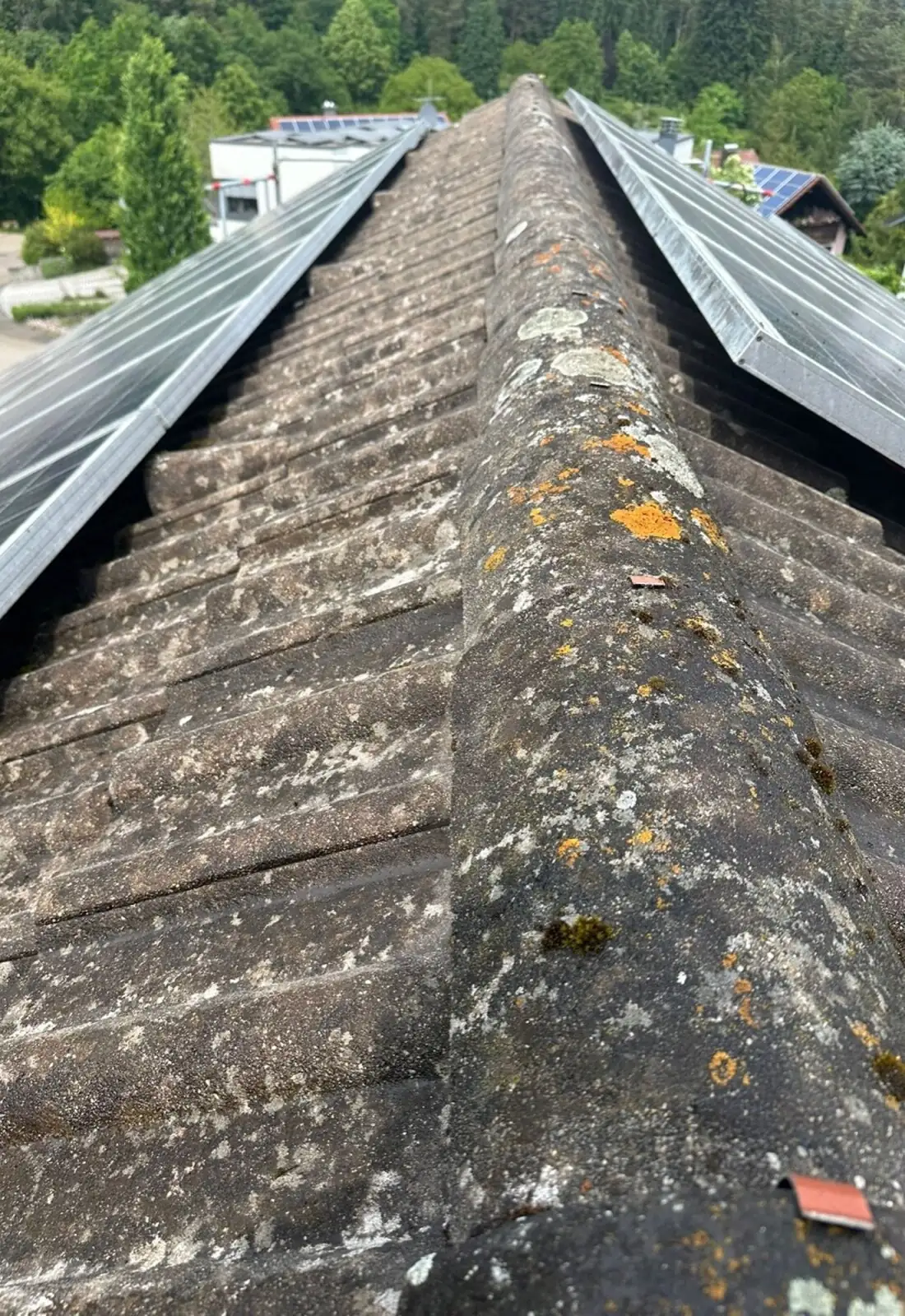 Dachfirst in Ulm, vor der Reinigung