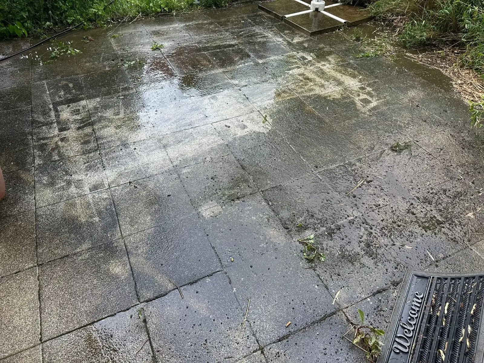 Moos, Algen und Grünbelag entfernen in Ulm