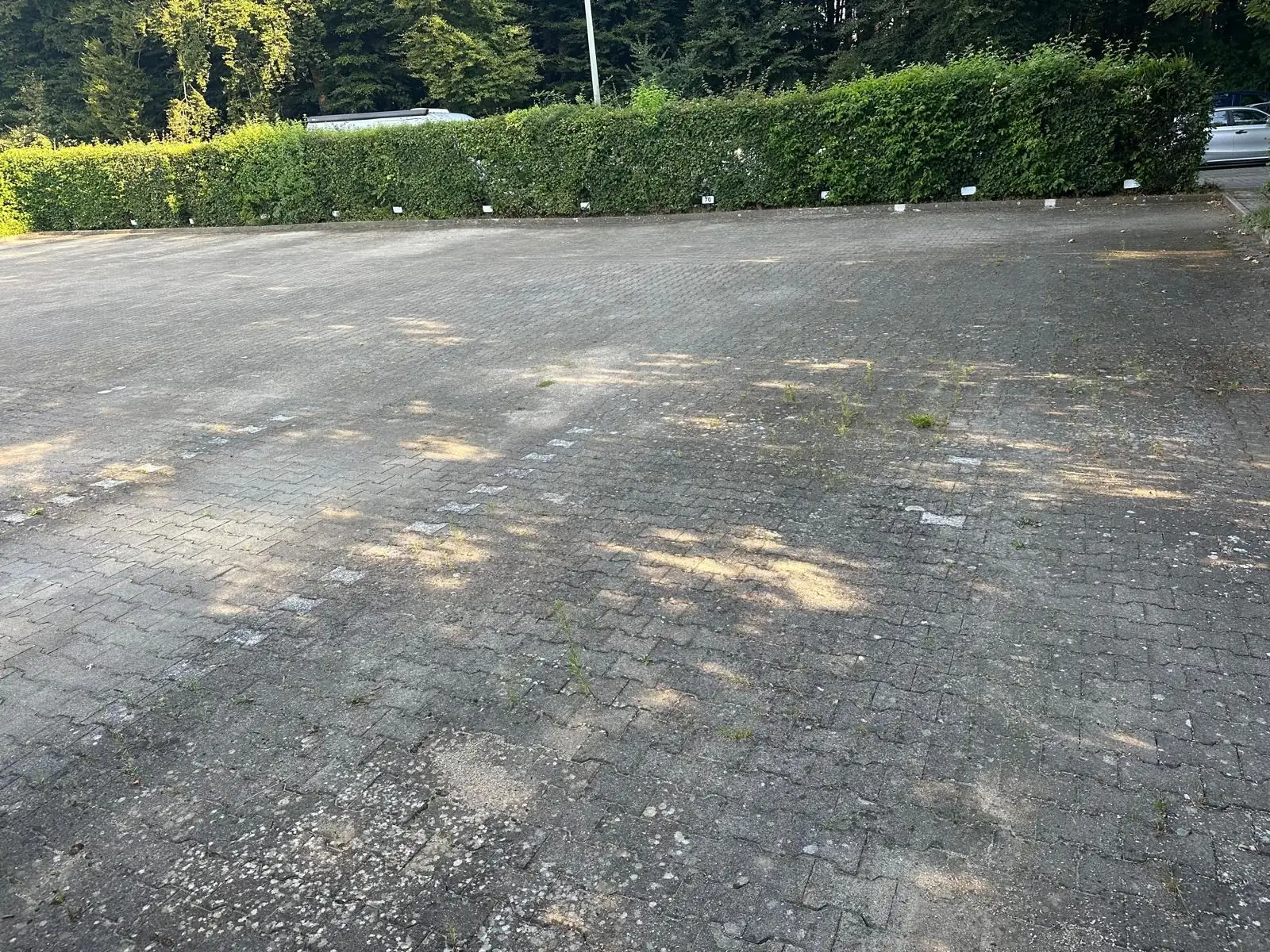 Parkplatz einer Wohnanlage, links grau und bemoost mit verblassten Markierungen, rechts nach Reinigung und neuer Markierung., vor der Reinigung