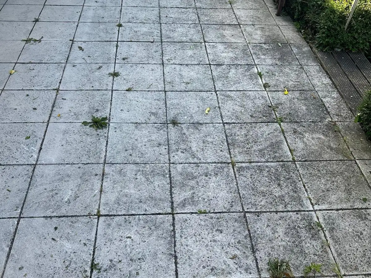 Plattenbelag an einem Wohnhaus, links grau mit Bewuchs in den Fugen, rechts nach der Reinigung., vor der Reinigung