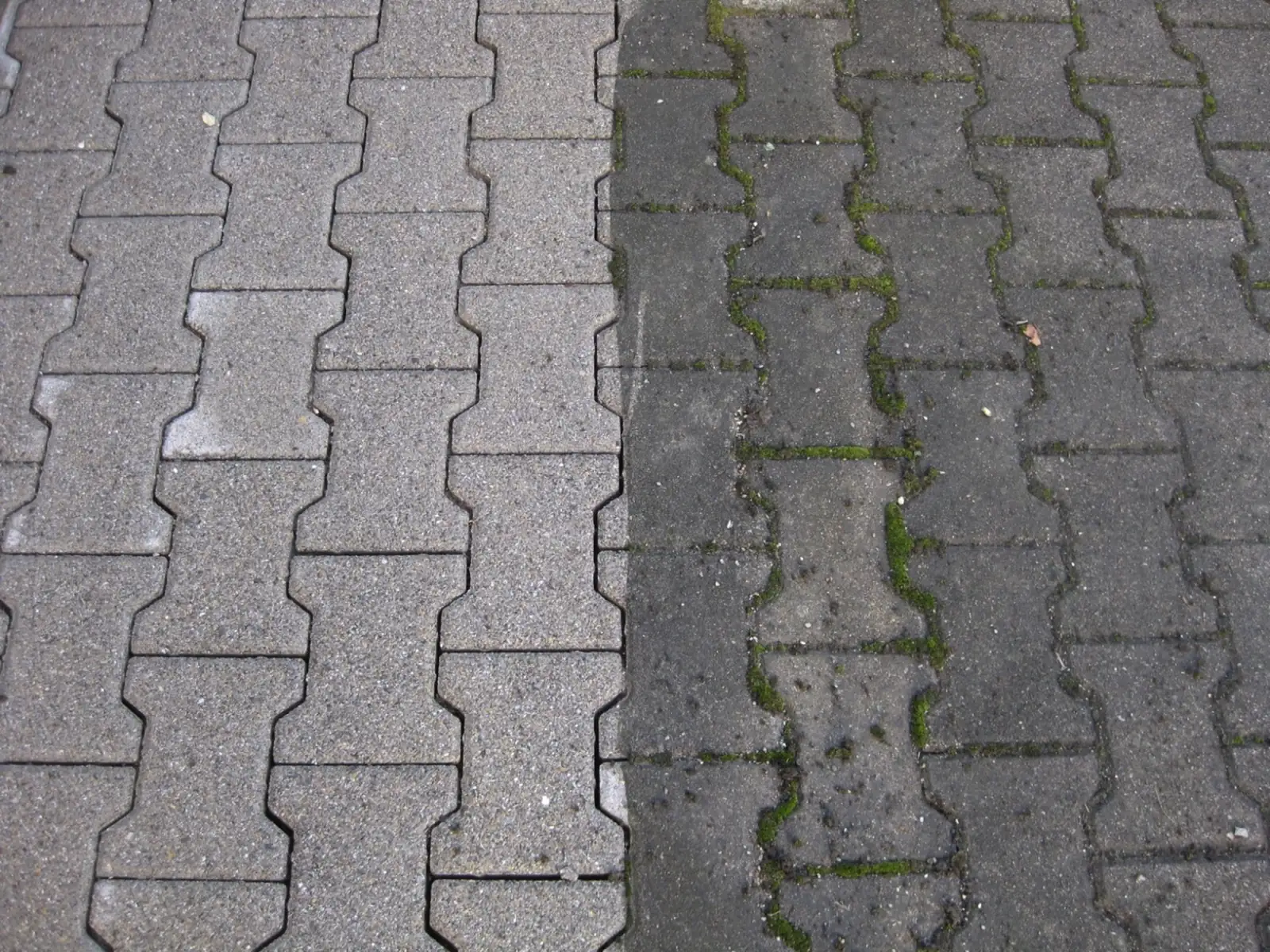 Pflaster und Einfahrt reinigen in Ulm