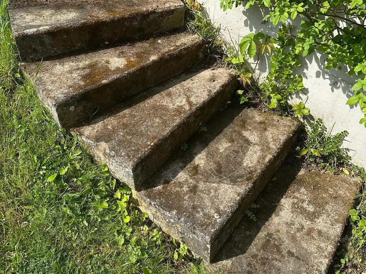 Betontreppe im Garten, links dicht mit Moos bewachsen, rechts nach der Reinigung., vor der Reinigung